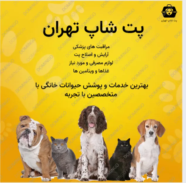 ایده طراحی متن استوری اینستاگرام با فونت انلاین برای شگفت زده کردن مخاطبان تان